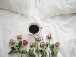 Letak Tesco Kupi